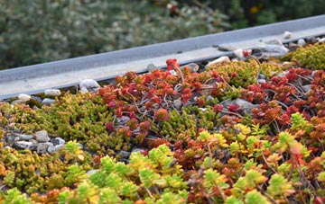 the cost of Bratton green roof installation